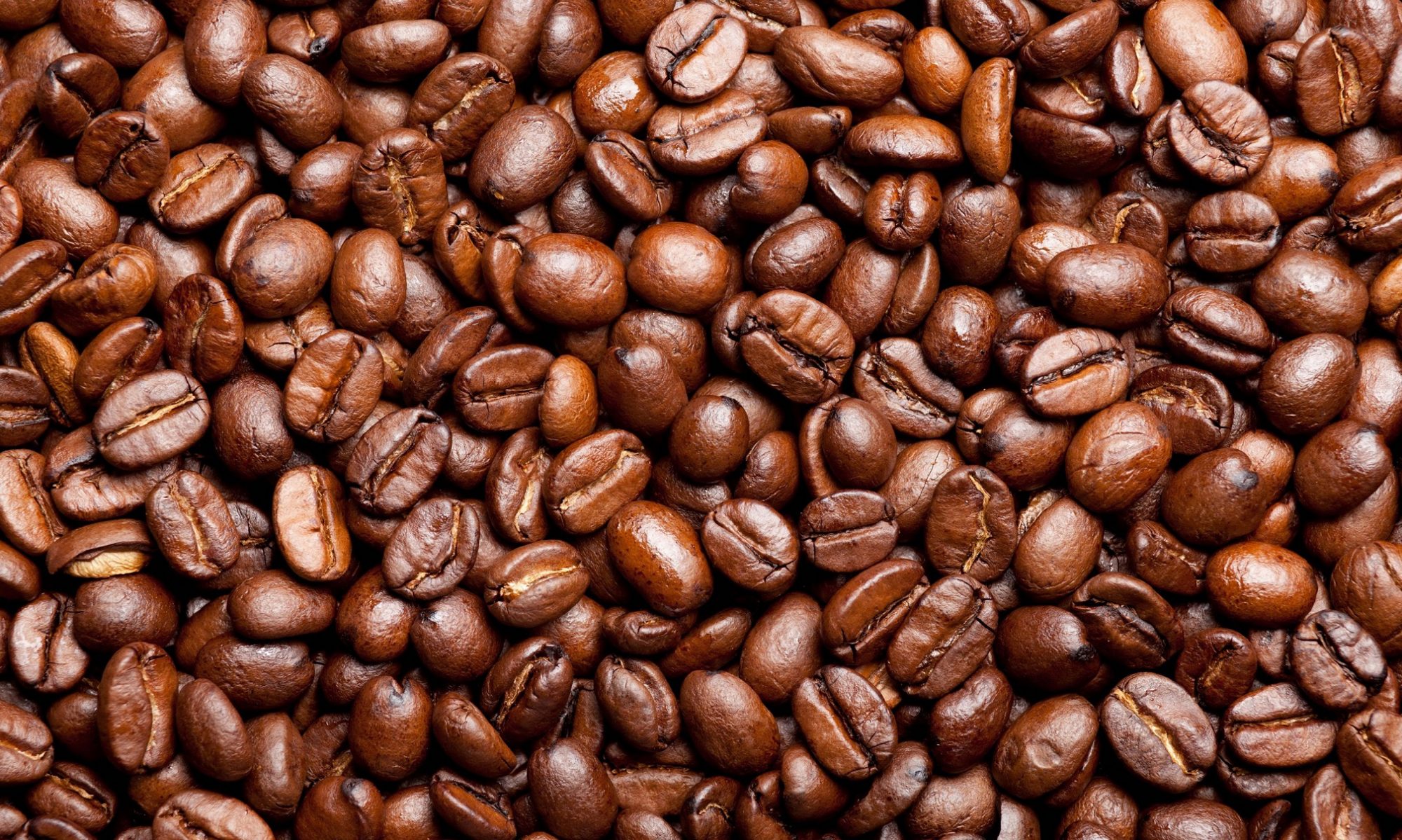 de Rijdende Barista